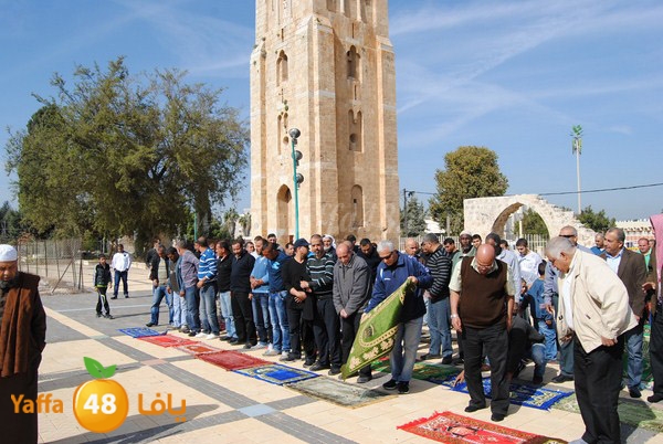 istesqa2 ramla 0201 (3).JPG